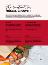 Load image into Gallery viewer, Glorious Glutes Guide