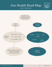 Load image into Gallery viewer, Gut Health Roadmap