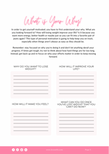 Load image into Gallery viewer, Beginner Home Program