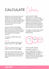 Load image into Gallery viewer, Beginner Home Program