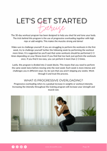 Load image into Gallery viewer, Beginner Home Program